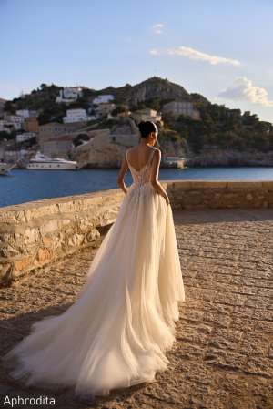 Aphrodita