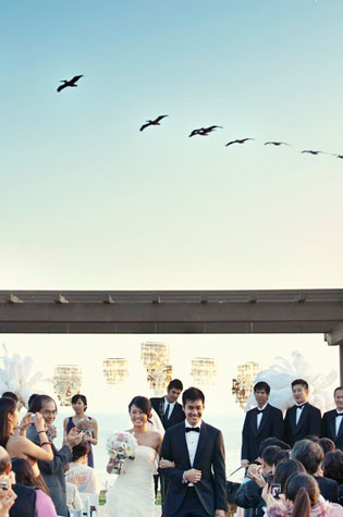mushhaveweddingphoto (16)