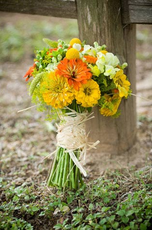 mushhaveweddingphoto (3)