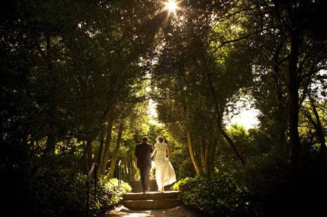 mushhaveweddingphoto (42)